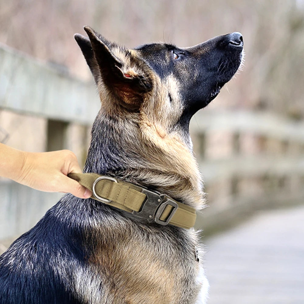 Taktisches Hundezubehör