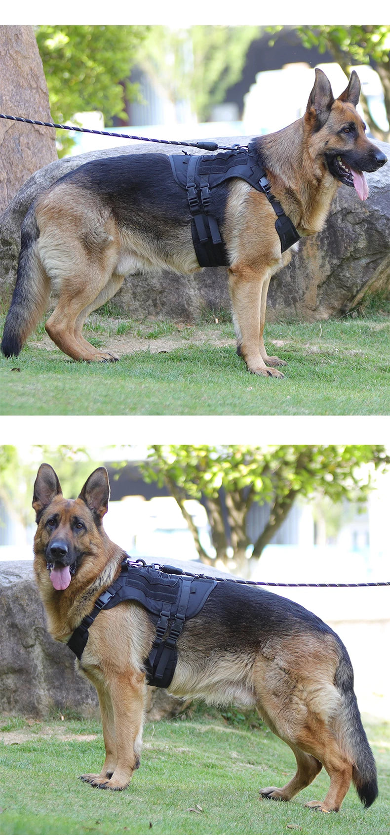 Pet Harness for Medium Large Dogs