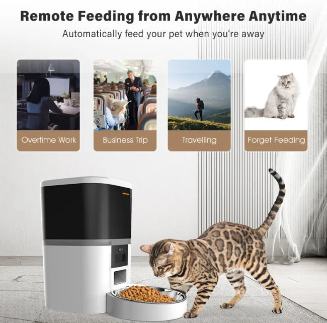 4L Double Meal Camera APP Automatic