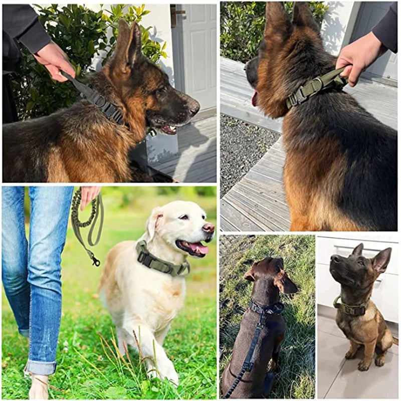 Taktisches Hundezubehör