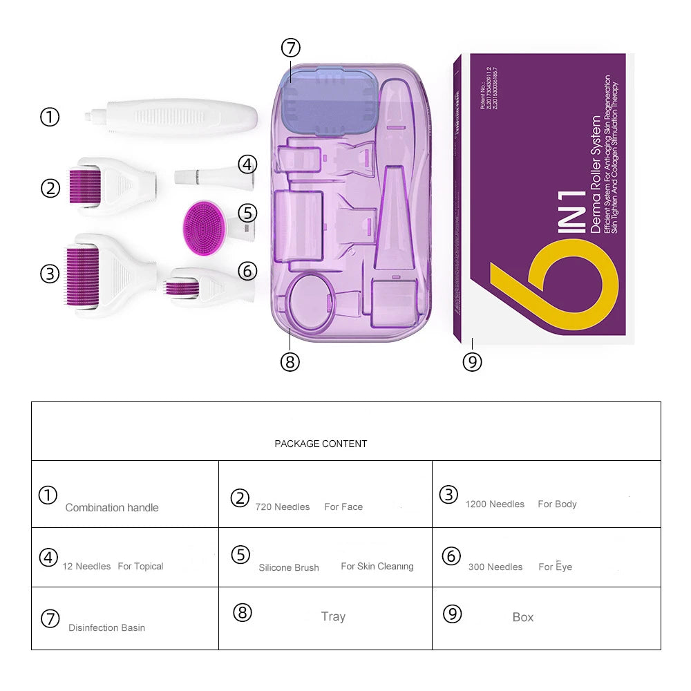6 in 1 Microneedle Derma Roller Kit for Face Eye Body 3