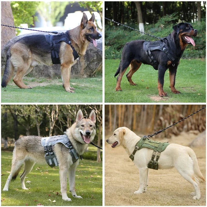 Pet Harness for Medium Large Dogs