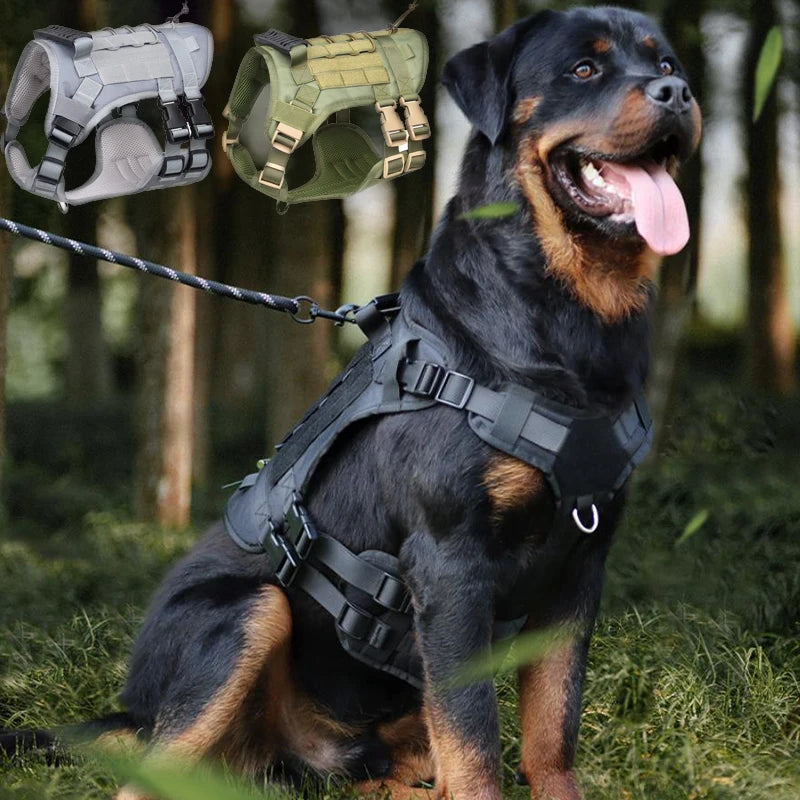 Pet Harness for Medium Large Dogs