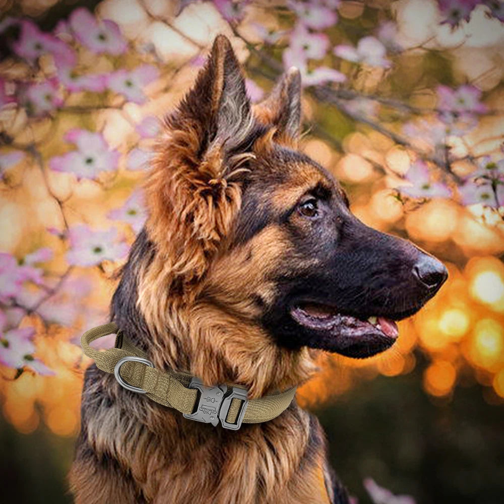 Taktisches Hundezubehör