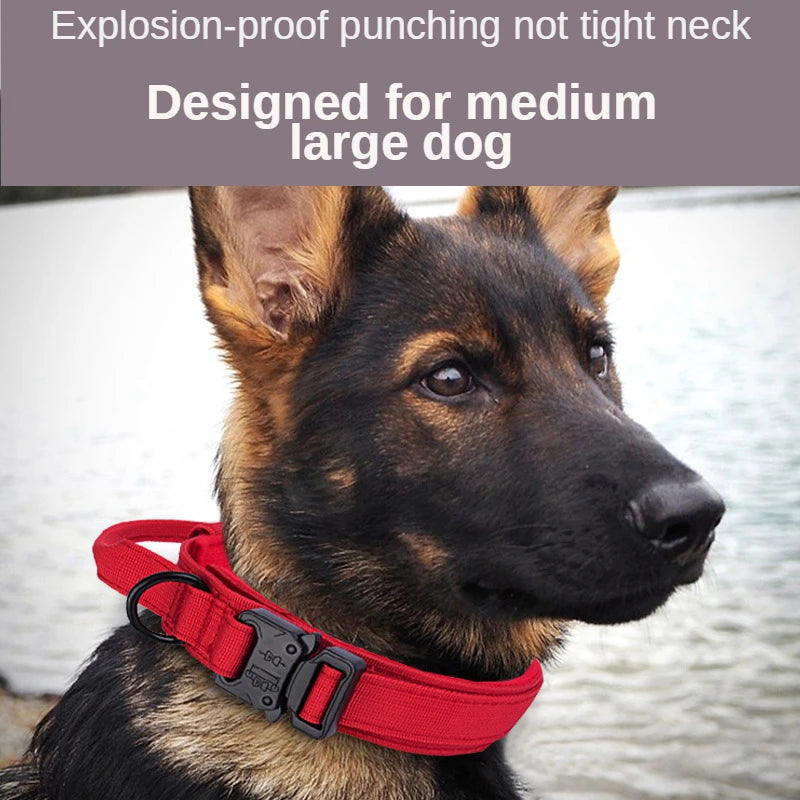 Taktisches Hundezubehör