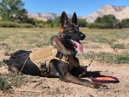 Military Large Dog Harness Pet German