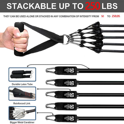 Resistance Bands