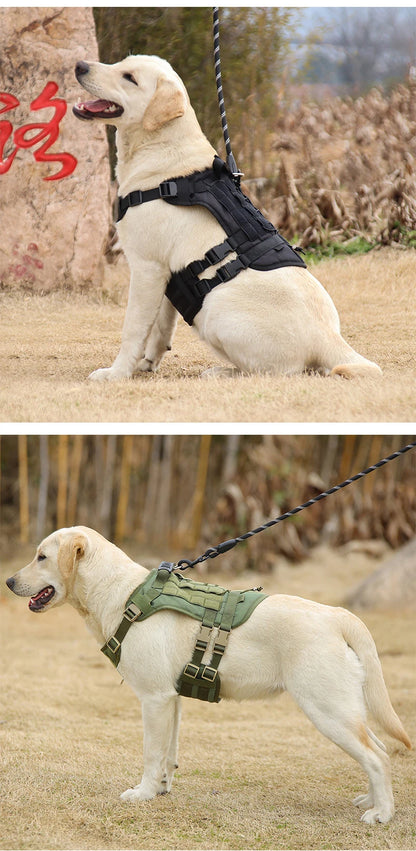 Tactical Dog Harness with Handle and Leash Military