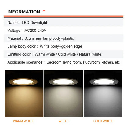 Spot LED Downlight