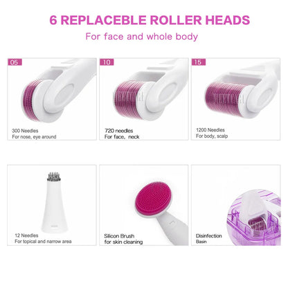 6 in 1 Microneedle Derma Roller Kit for Face Eye Body 3