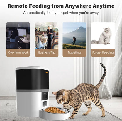4L Double Meal Camera APP Automatic