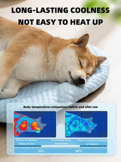 Summer Dog Bed