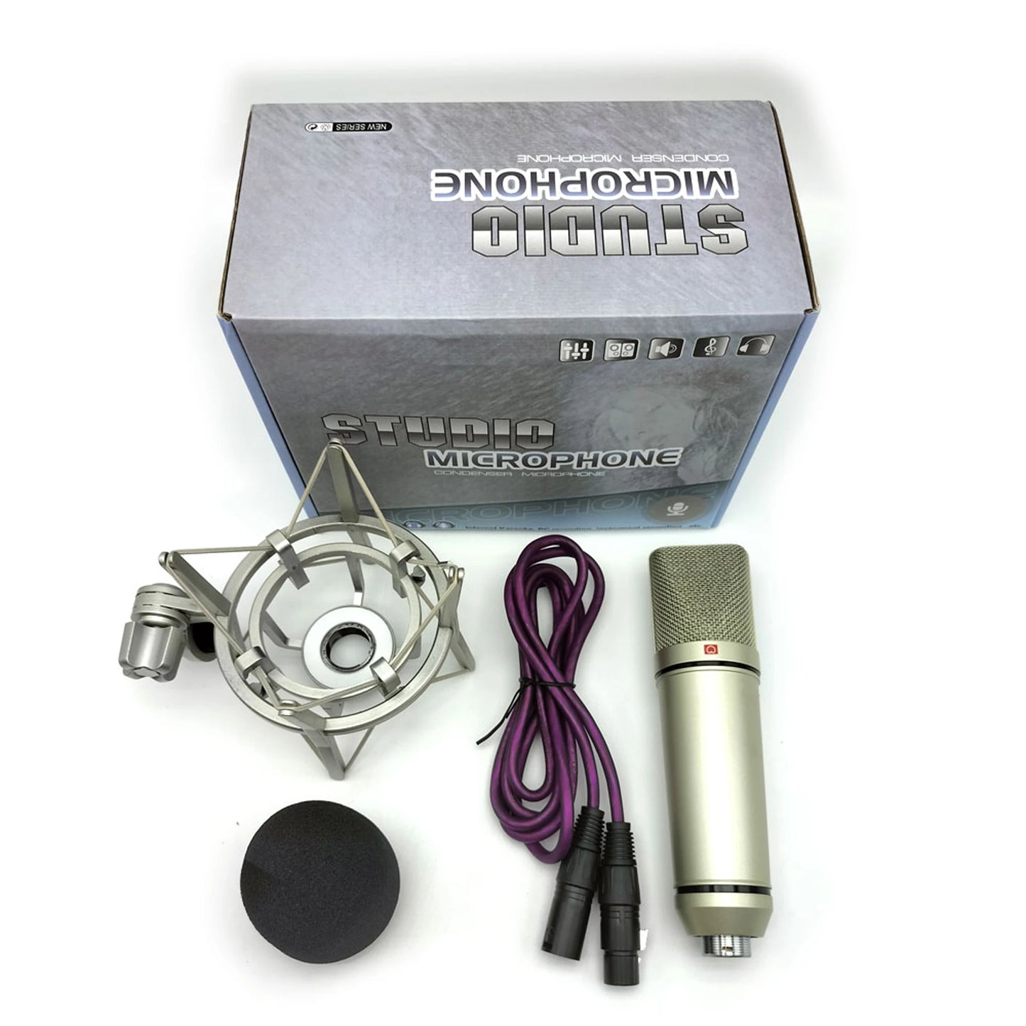 Professional Condenser Microphone Studio