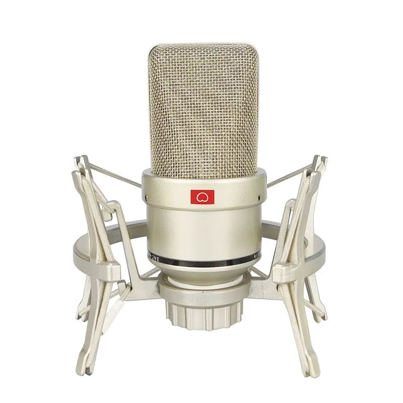 Professional Condenser Microphone Studio