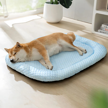 Summer Dog Bed
