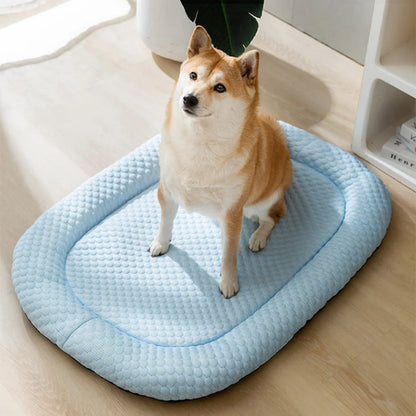 Summer Dog Bed