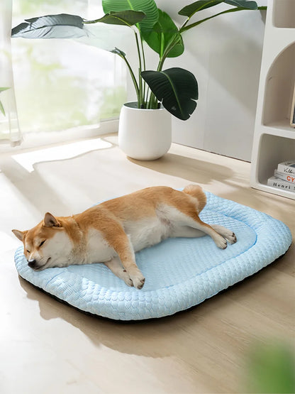 Summer Dog Bed