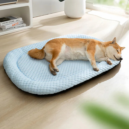 Summer Dog Bed