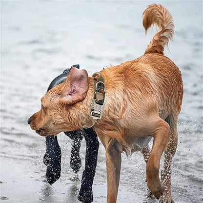 Taktisches Hundezubehör