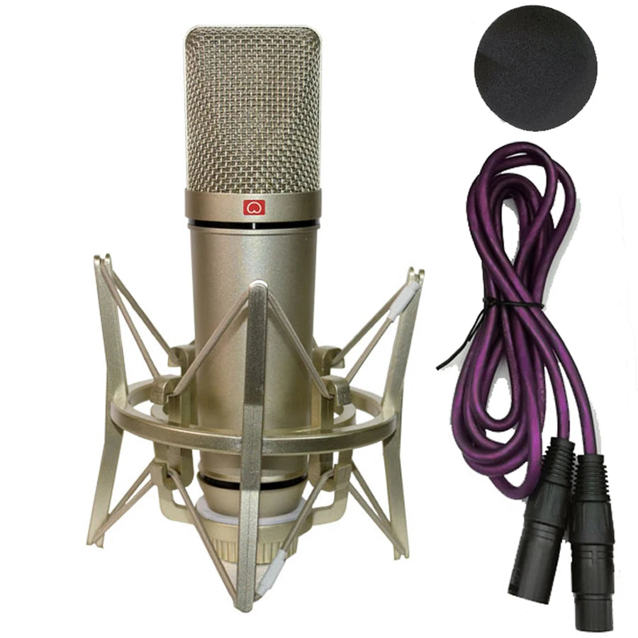 Professional Condenser Microphone Studio