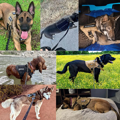 Military Large Dog Harness
