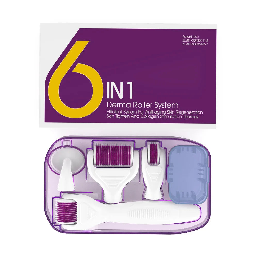 6 in 1 Microneedle Derma Roller Kit for Face Eye Body 3